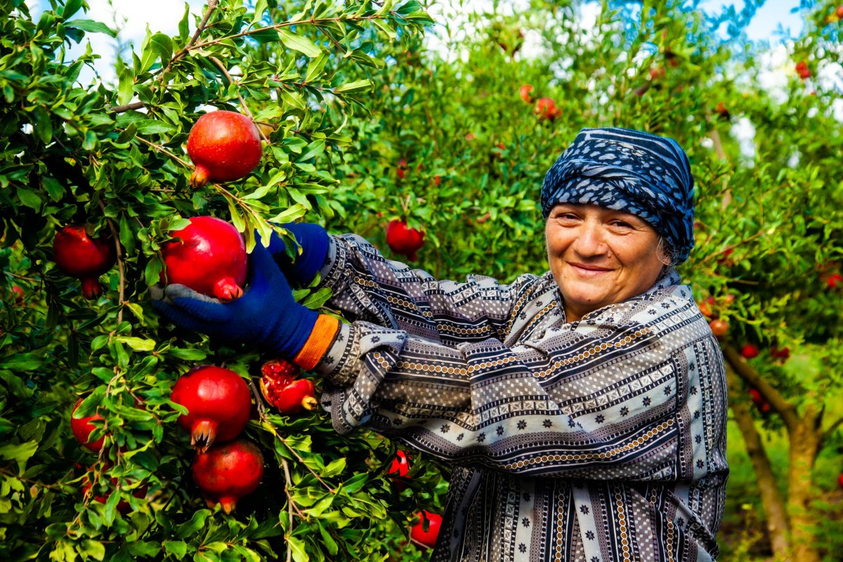 Mujeres se abren paso en la agroindustria
