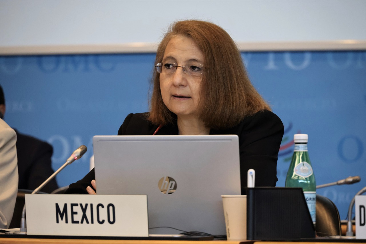 Luz María de la Mora sale de SE; México se queda sin negociadora técnica del T-MEC