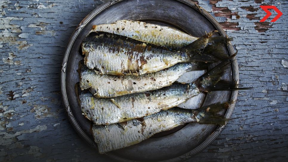 Alerta: Estas son las marcas de sardina que no debes comprar, según Profeco