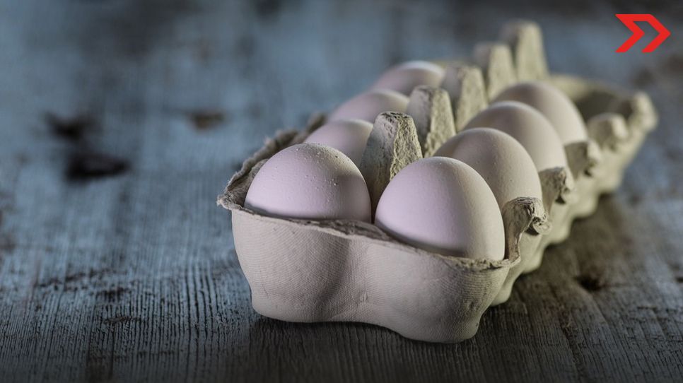 Tráfico de huevo de México a EU: aumenta compra clandestina por alza de precios