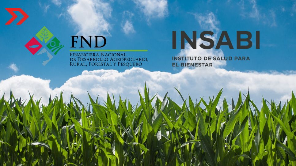 Financiera Rural e Insabi desaparecen; publican decreto para IMSS-Bienestar