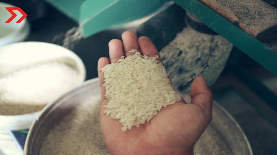 México importará arroz japonés para incrementar comercio binacional