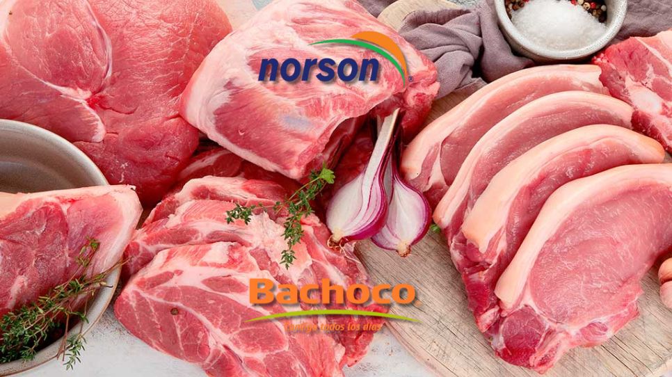 Bachoco compra Norson, productora de carne de cerdo