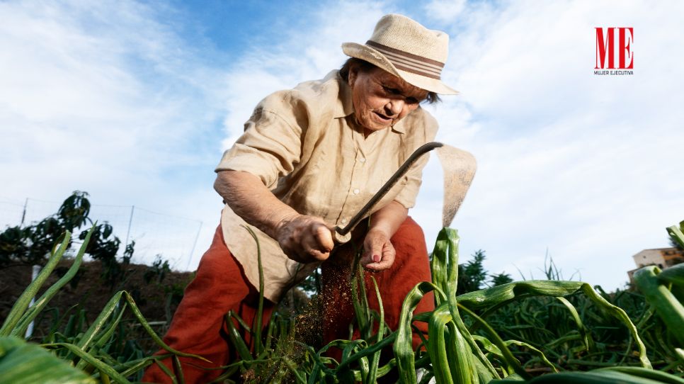 Reconocen a mujeres rurales dedicadas a labores agrícolas