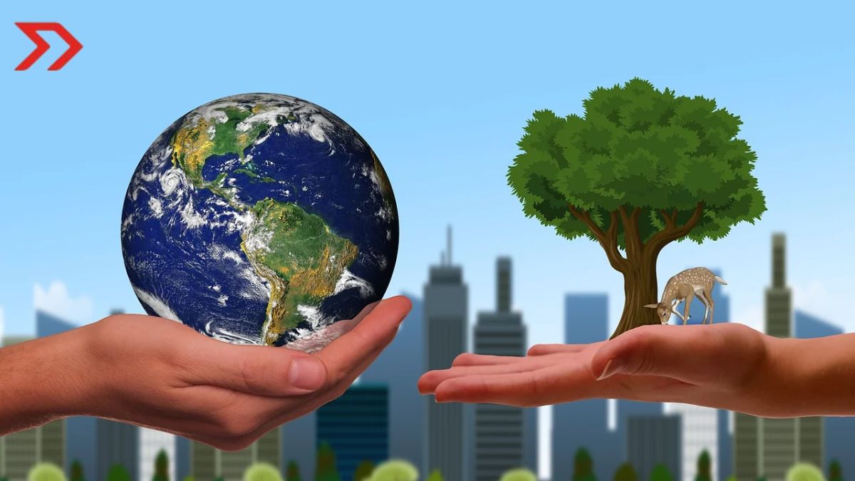 Comparativa de sostenibilidad: BBVA, Quálitas y MetLife en el ranking RES de Mundo Ejecutivo