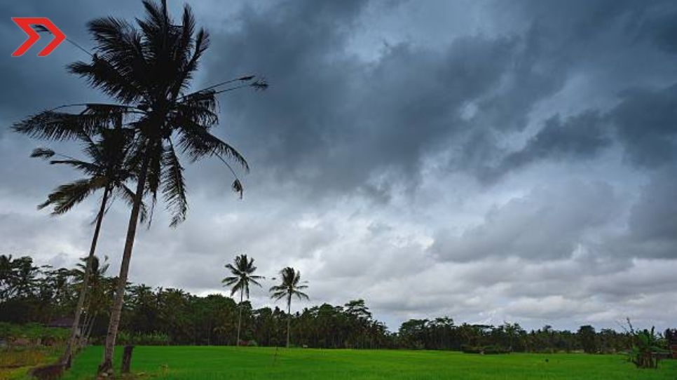 Tormenta tropical Carlotta: Estados que se verán afectados