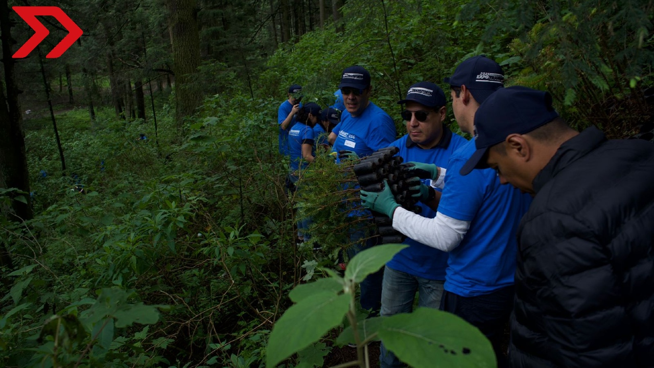 ANPACT y 15 empresas automotrices plantan 600 árboles en Ocoyoacac para combatir el cambio climático