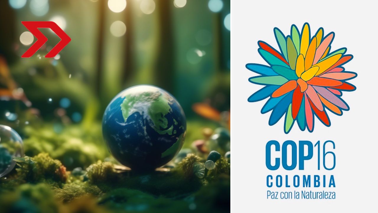 Conferencia de las Naciones Unidas sobre Biodiversidad (COP16) y acciones sostenibles