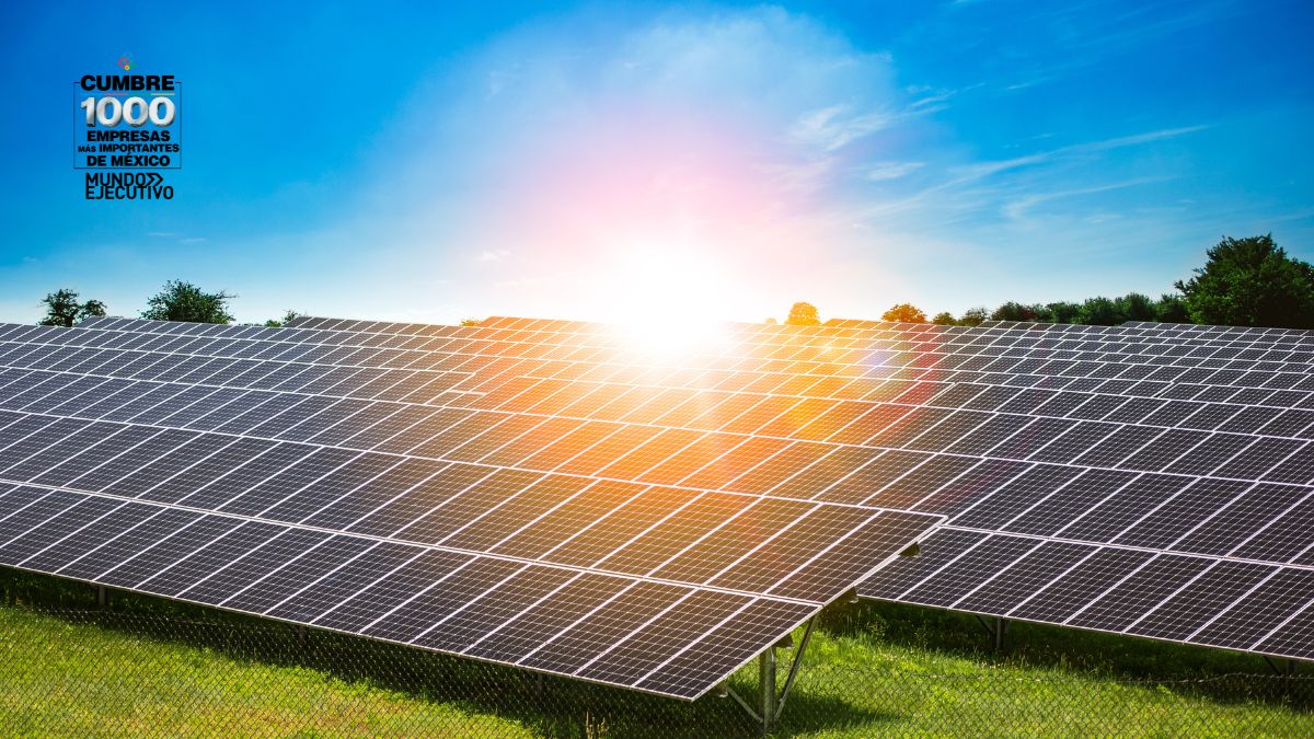 Energía solar lidera el crecimiento de la electricidad en la OCDE: 20.6% más en julio