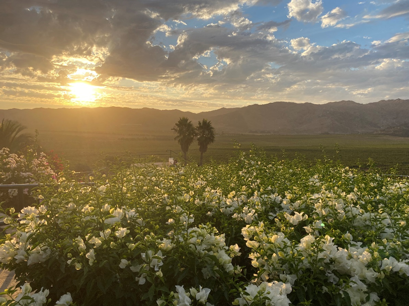 Oportunidades y avances sostenibles en Baja California 3