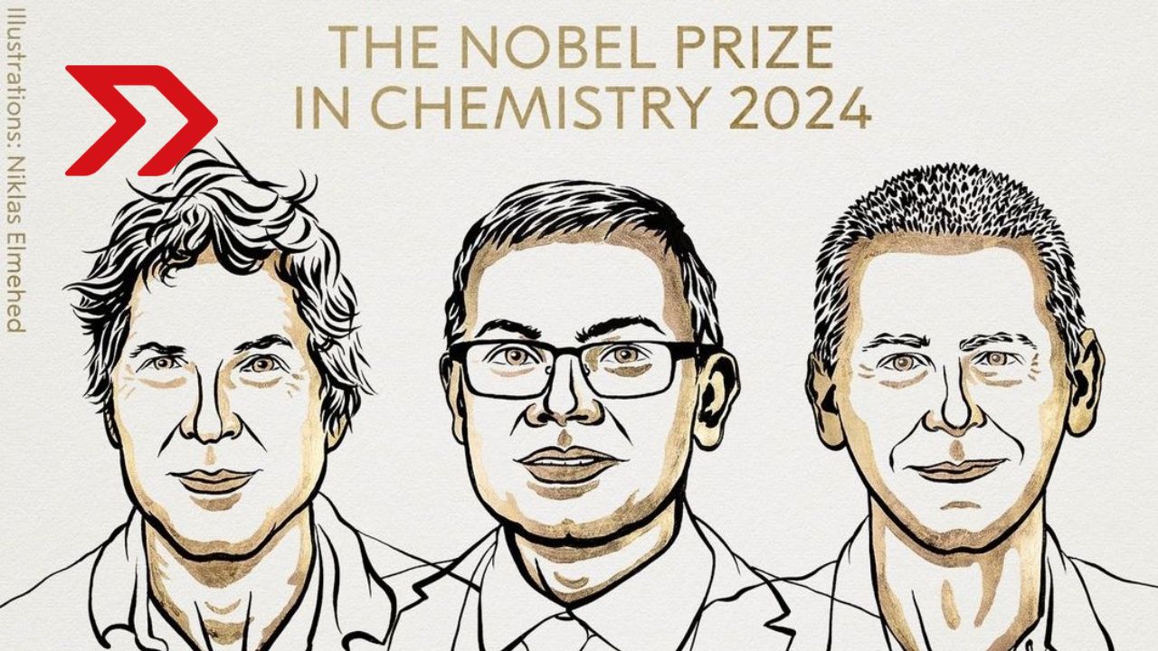 Nobel de Química 2024: premian a científicos que descubrieron códigos de proteínas con IA