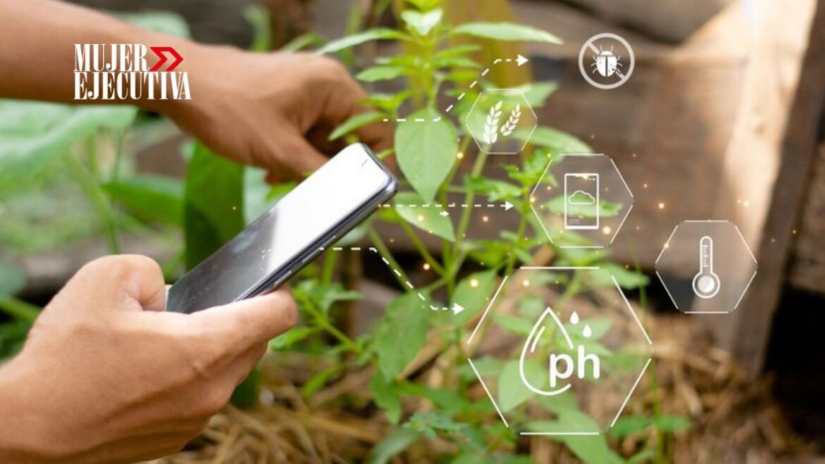 agricultura sostenible