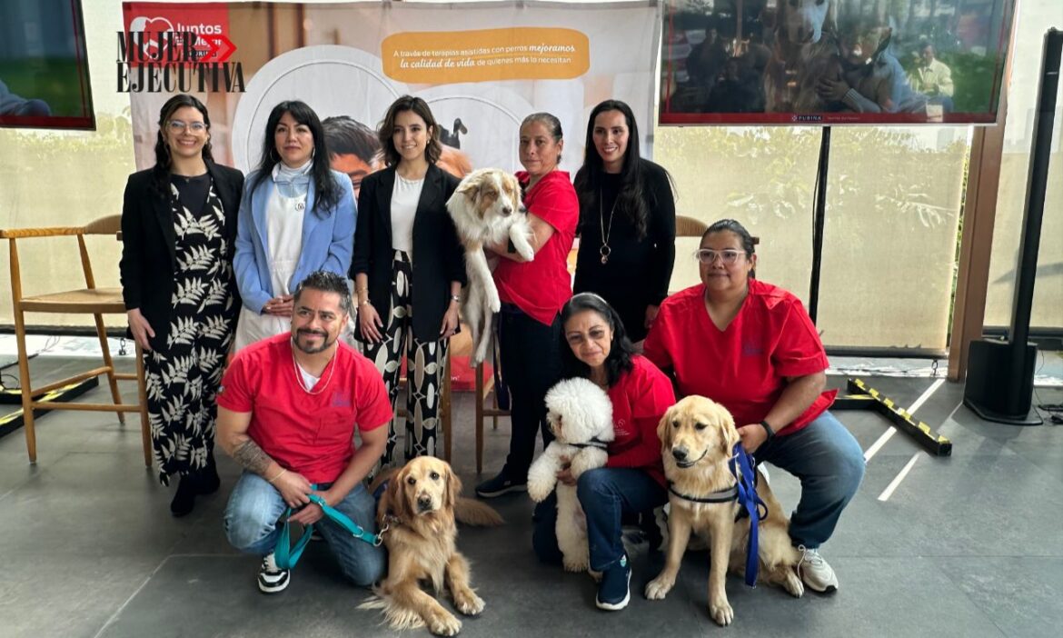 terapias asistidas por perros