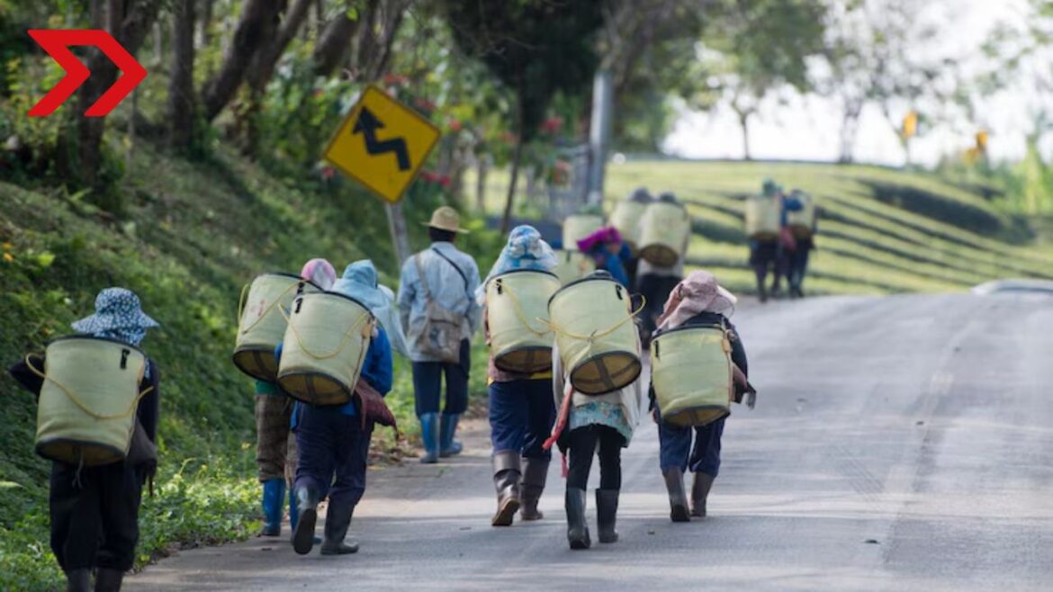 Los migrantes mexicanos aportan significativamente a la economía de EU, con contribuciones clave al PIB, impuestos y sectores esenciales.