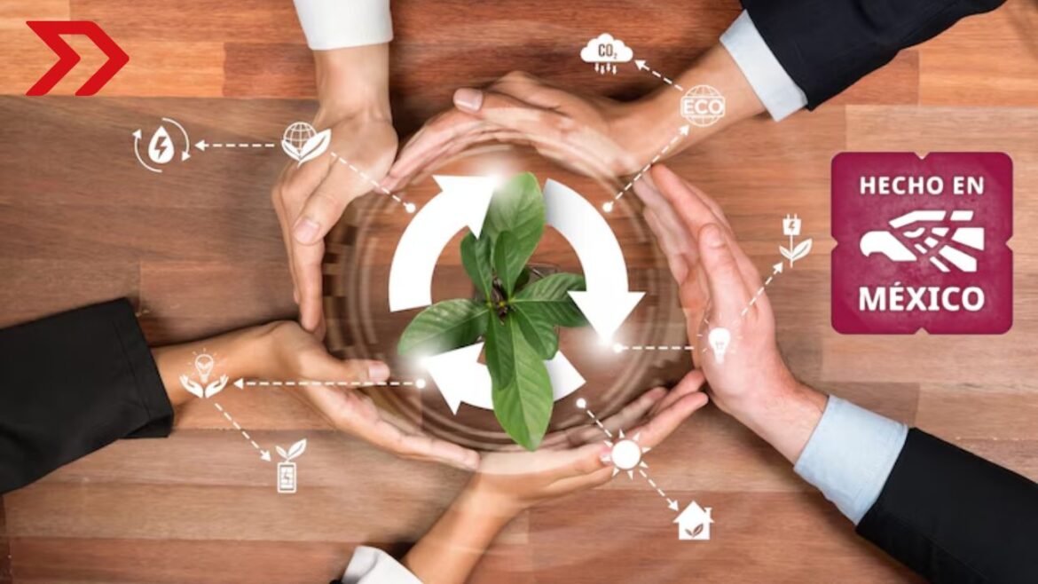 Distintivo "Hecho en México" impulsa productos nacionales, reindustrialización y posicionamiento internacional de empresas.