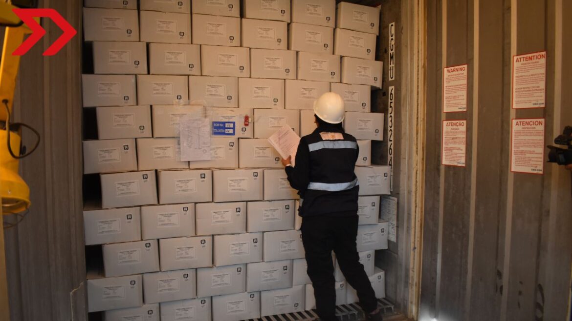 México suspende importación de productos avícolas desde Brasil tras brote de influenza H5N1; afectando a más de 264 mil toneladas.