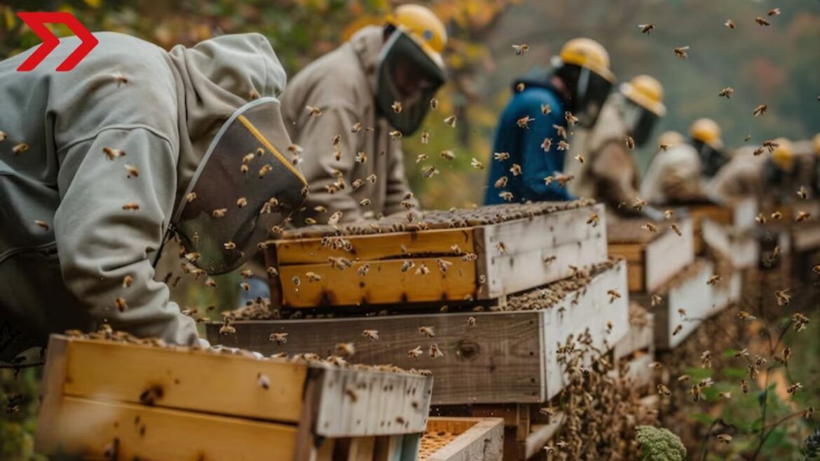 Inversión de CONAFOR impulsa la meliponicultura en Oaxaca y Yucatán, generando y fortaleciendo ingresos rurales.
