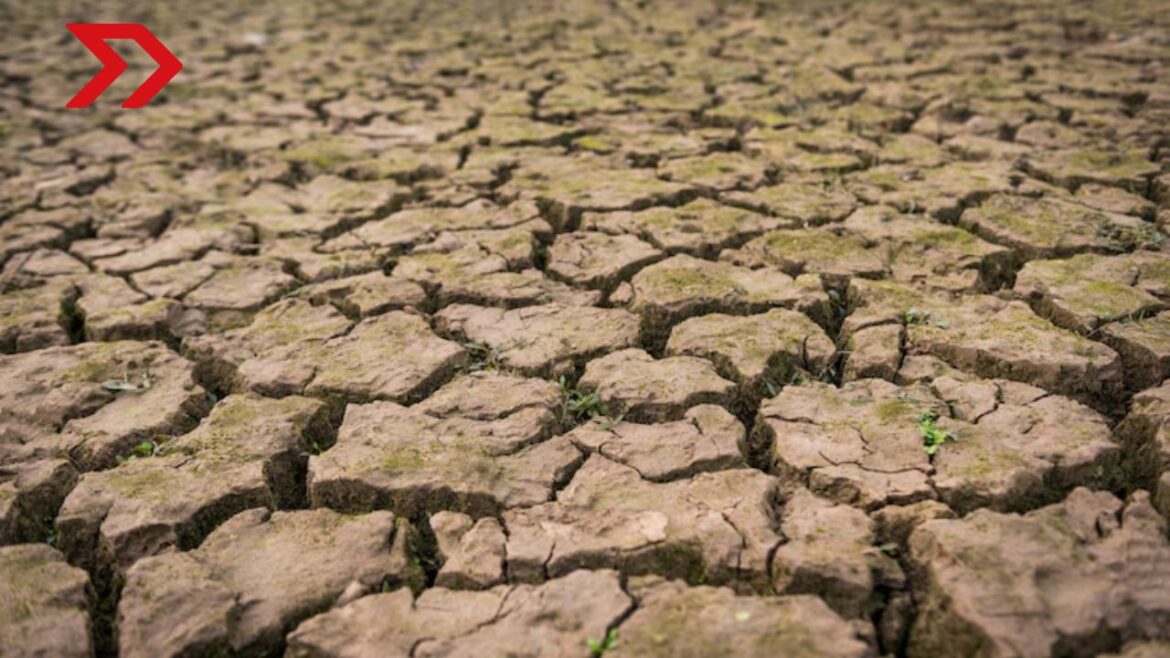 La adaptación a la sequía es una estrategia clave en las políticas públicas para enfrentar los riesgos derivados del cambio climático.