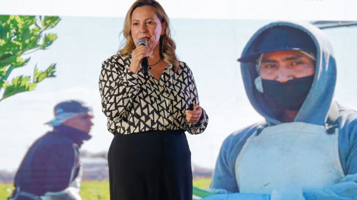 responsabilidad social