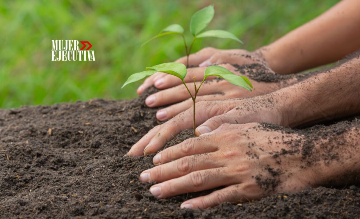 Día Nacional de la Conservación