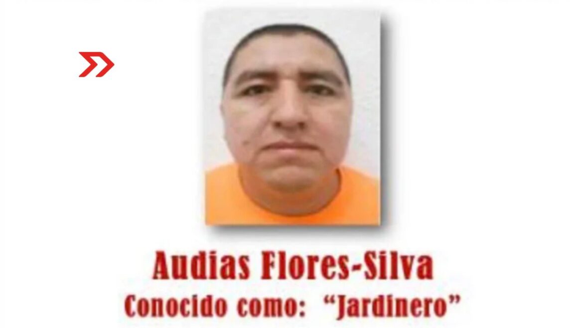 CJNG y el “Jardinero” sembrado