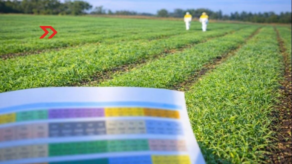 HEINEKEN México implementa piloto con la startup Bioram