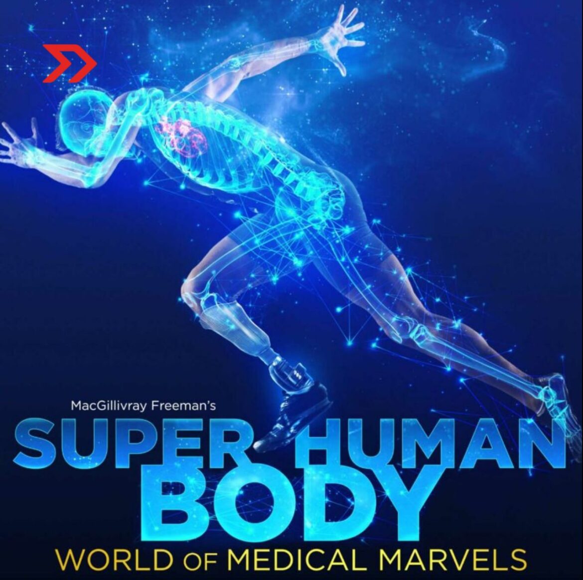 El cuerpo humano del futuro: cine IMAX, biotecnología y la nueva frontera de la esperanza