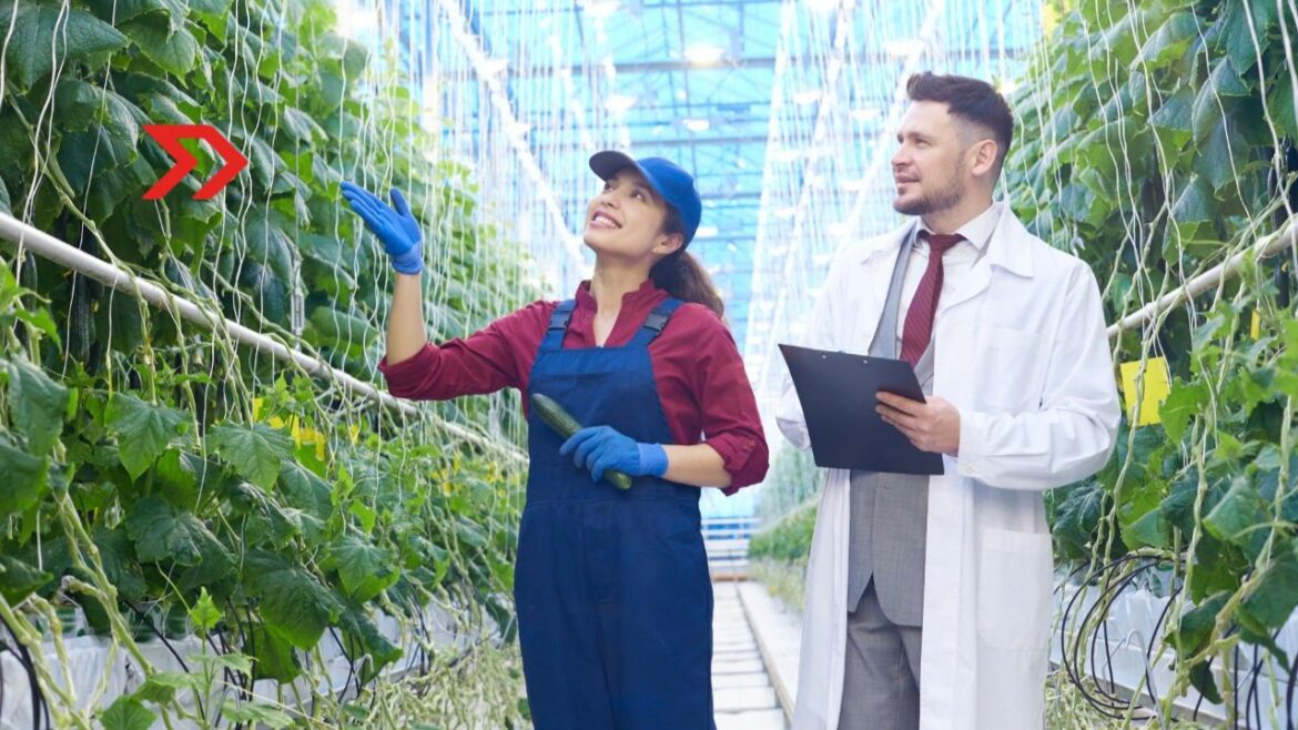 EY anuncia acuerdo para adquirir MB Agro