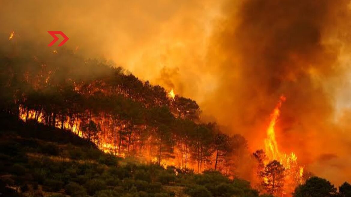 Europa arde ¿México está preparado?